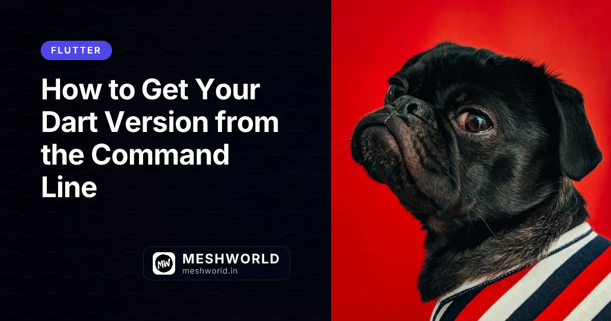 How to Get Your Dart Version from the Command Line