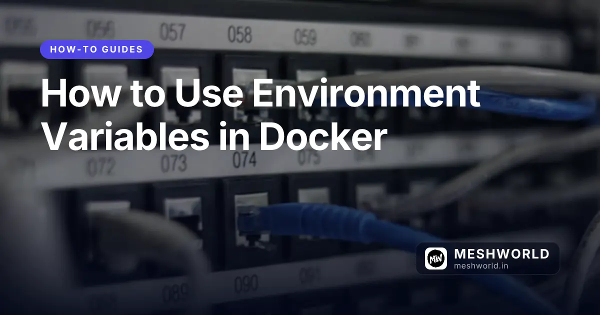 How to Use Environment Variables in Docker