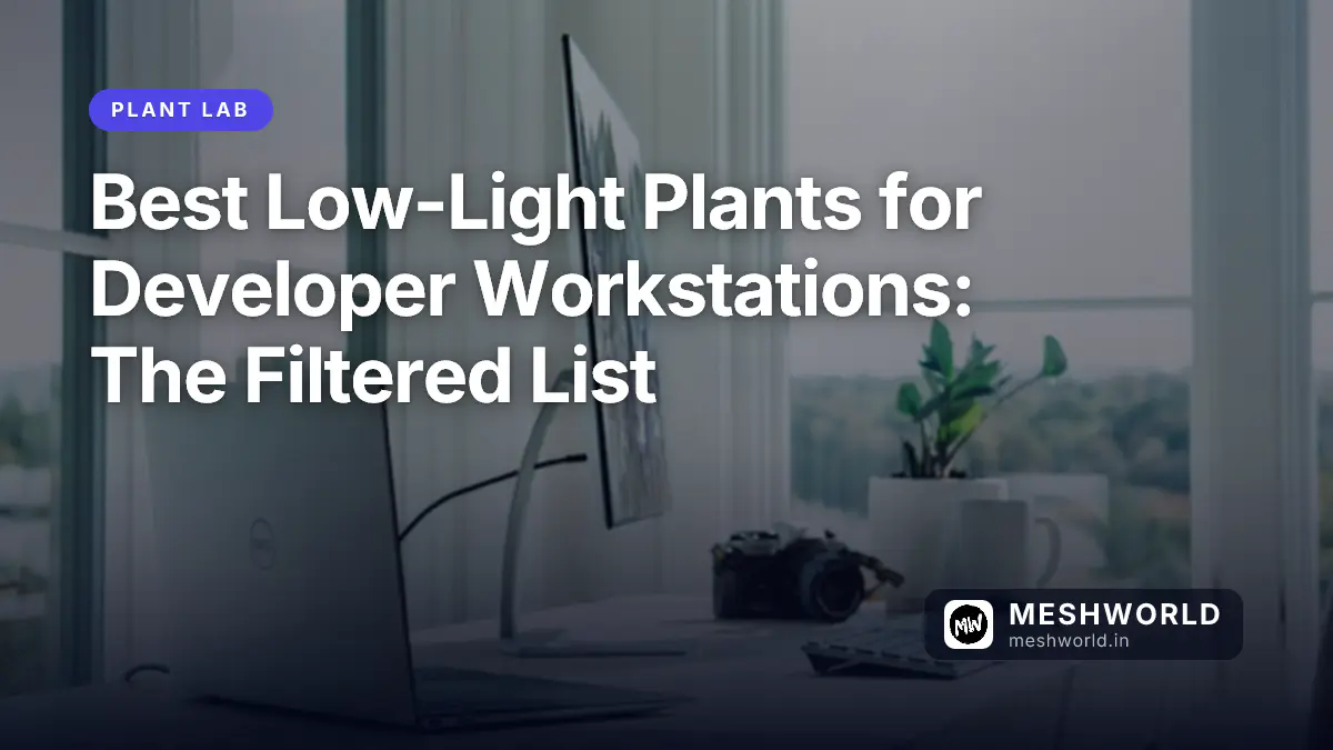 Best Low-Light Plants for Developer Workstations: The Filtered List