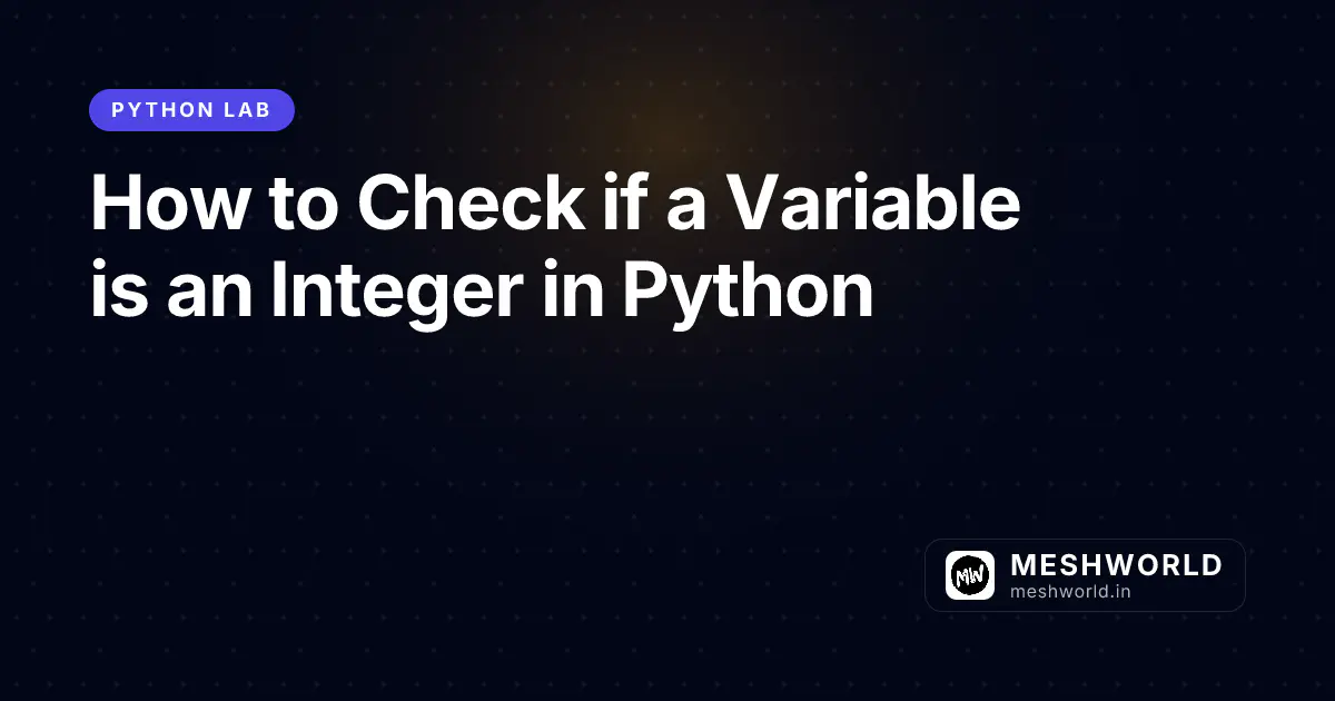 How to Check if a Variable is an Integer in Python